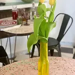 Bed & Breakfast Habitare Lecce&salento Lecce