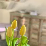 Bed & Breakfast Habitare Lecce&salento 4*