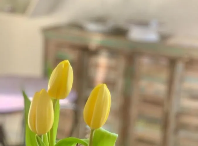 Alojamento de Acomodação e Pequeno-almoço Habitare & Salento 4*