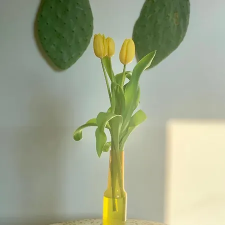 Habitare & Salento 4* 莱切