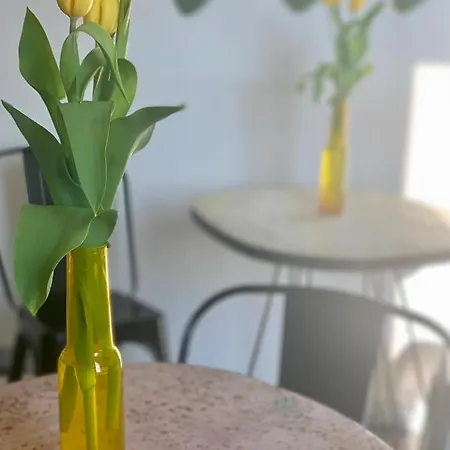 Couette-café Habitare & Salento 4*