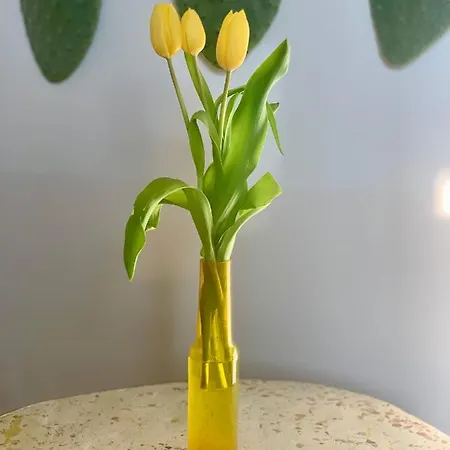 Habitare & Salento Couette-café Lecce