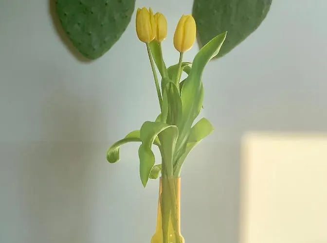 Habitare & Salento 4* Lecce