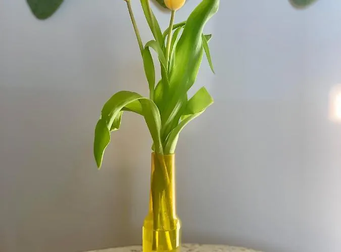 Habitare & Salento Bed & Breakfast Lecce